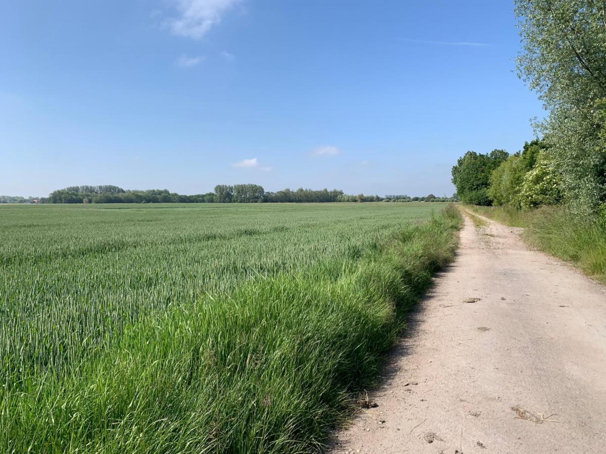 De Scheure, Charmant Vakantiehuisje Midden In De Natuur Alveringem Exterior foto